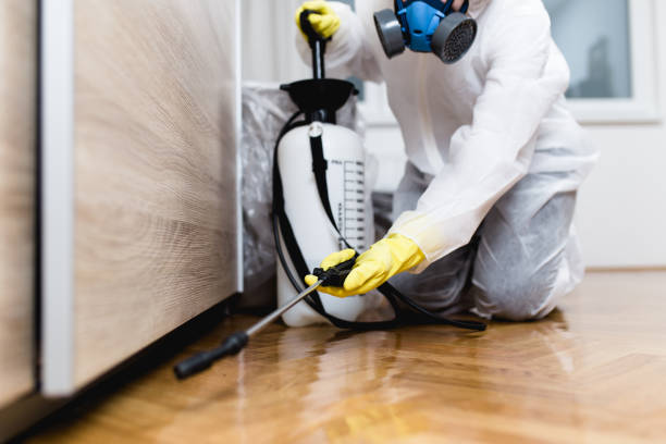 Best Insect Control  in New Albany, OH