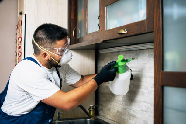 Best Pest Control Near Me  in New Albany, OH