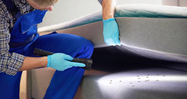 Best Wasp Removal Services  in New Albany, OH